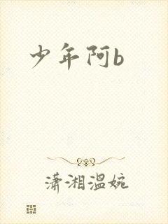 少年阿b