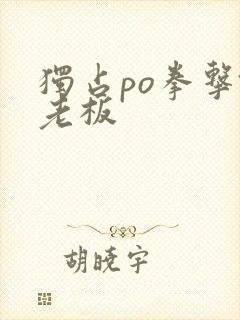 独占po拳击馆老板