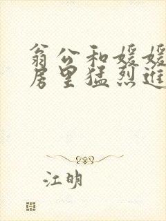 翁公和媛媛在厨房里猛烈进出