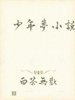 少年梦小说