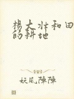 杨大壮和田桂花的耕地