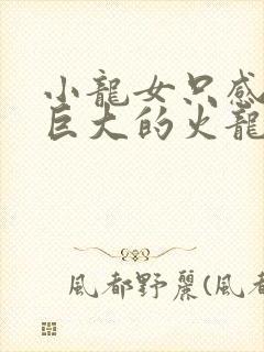 小龙女只感觉那巨大的火龙枪