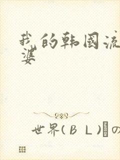 我的韩国流氓老婆