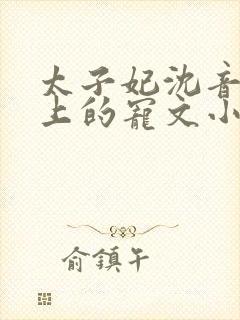 太子妃沈音和皇上的宠文小说