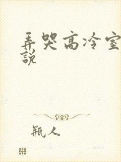 弄哭高冷室友小说