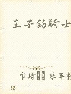 王子的骑士小说