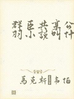 群臣共享公主银羽小说叫什么