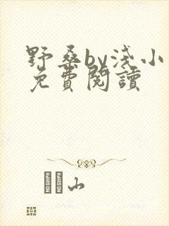 野桑by浅小说免费阅读