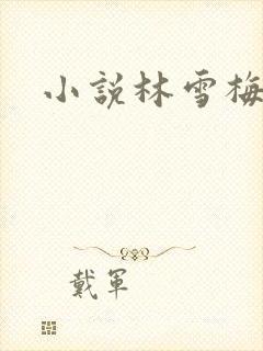 小说林雪梅