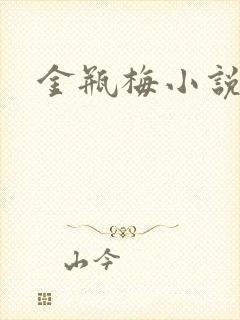 金瓶梅小说下载