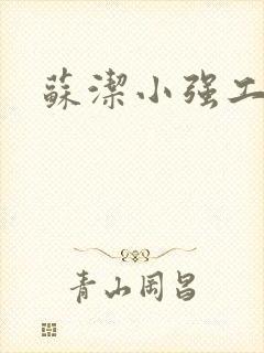 苏洁小强工地情