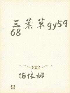 三叶草gy5968