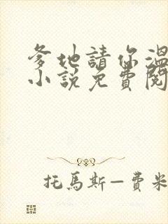 爹地请你温柔点小说免费阅读