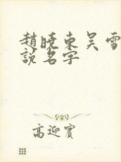 赵晓东吴雪晴小说名字