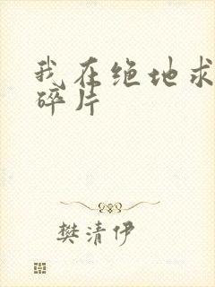 我在绝地求生捡碎片