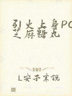 引火上身POP芝麻糖丸