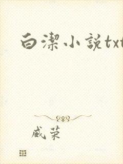 白洁小说txt