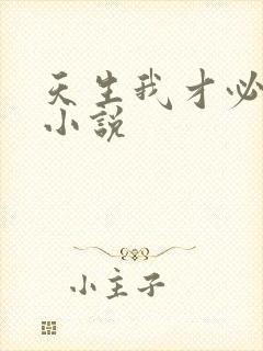 天生我才必有用小说