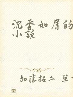 沉香如屑的原著小说