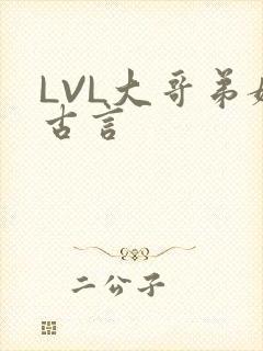 LVL大哥弟媳古言