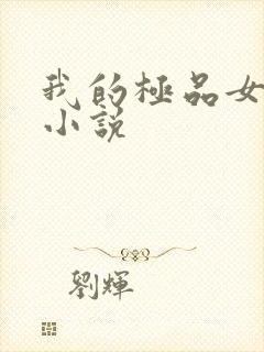 我的极品女老师小说