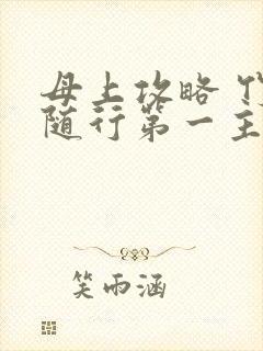 母上攻略 竹影随行第一主板