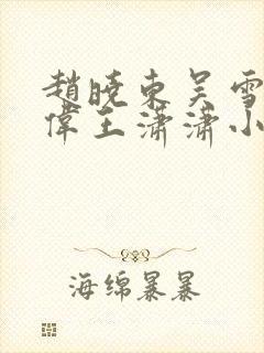 赵晓东吴雪晴郑伟王潇潇小说名字