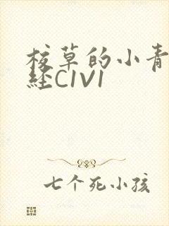 校草的小青梅不经C1V1