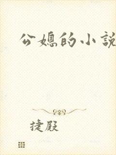 公媳的小说