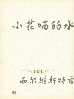 小花喵的水蜜桃