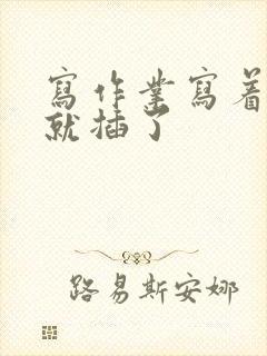 写作业写着写着就插了