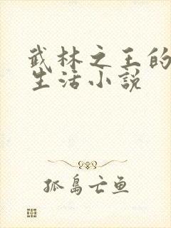 武林之王的退隐生活小说