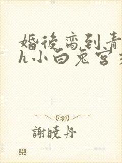 婚后脔到青梅哭h小白兔宫交h