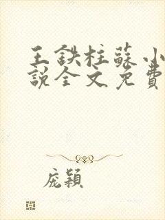 王铁柱苏小汐小说全文免费阅读最新章节