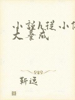 小说h从小做到大养成