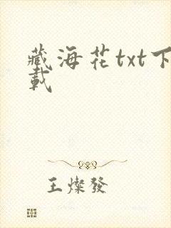 藏海花txt下载