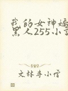 我的女神娇妻与黑人255小说
