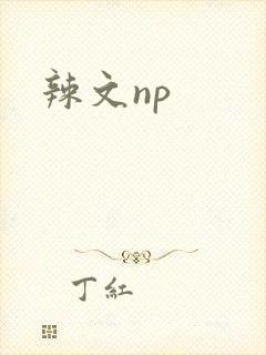 辣文np