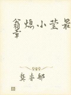 翁熄小莹最新节章