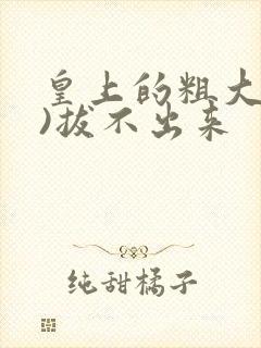 皇上的粗大(h)拔不出来