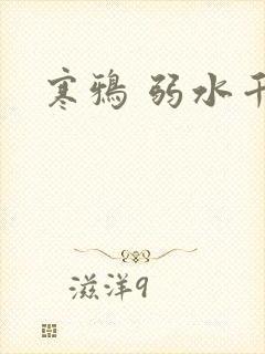 寒鸦 弱水千流