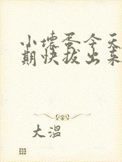 小坏蛋今天危险期快拔出来