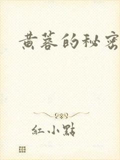黄蓉的秘密