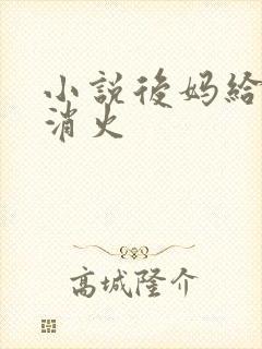 小说后妈给我消消火