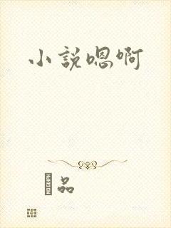 小说嗯啊