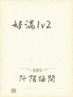 好满1v2