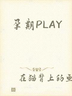 孕期PLAY