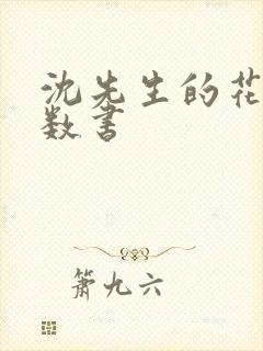 沈先生的花式调数书