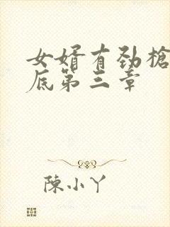 女婿有劲枪枪到底第三章