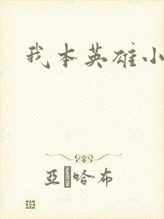 我本英雄小说